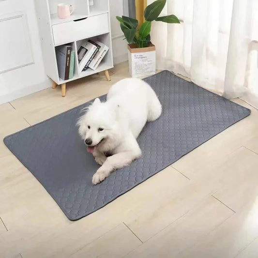 Waterproof Dog Pee Training Pad